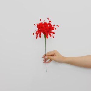 May include: A bright red spider lily flower crafted from fuzzy pipe cleaners, featuring long, thin, curved petals and delicate stamens extending outward, attached to a thin, straight, dark green stem that extends downward.
