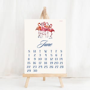 Calendario da tavolo in formato digitale, calendario da maggio 2025 ad aprile 2026, scrivania, mensile, tropicale, spiaggia, Florida, foresta pluviale, Palm Beach, palma