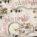2.5 wide paris apartment pink Eiffel tower frayed torn fabric ribbon 67