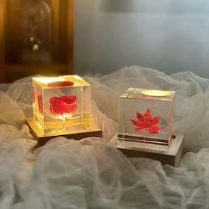 Puede incluir: Dos cubos iluminados de resina transparente con elementos botánicos incrustados. Uno presenta una rosa roja, el otro una hoja de arce roja. Cada cubo se asienta sobre una base de madera, emitiendo un brillo cálido.