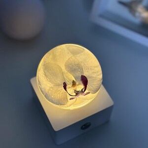 May include: A glowing, round, clear resin paperweight with a white orchid flower and purple accents. The paperweight sits atop a white, square, illuminated base. The background is a soft blue.