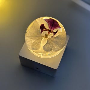 May include: A clear, round resin paperweight with a preserved white orchid and a deep purple center, set atop a white, illuminated square base. The base has a small, dark circular detail on the front.