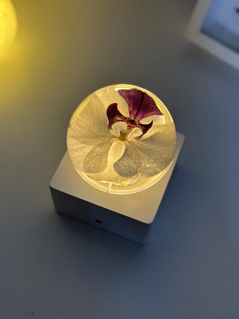 May include: A clear, round resin paperweight with a preserved white orchid and a deep purple center, set atop a white, illuminated square base. The base has a small, dark circular detail on the front.