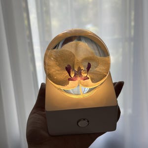 May include: A decorative lamp featuring a light yellow orchid flower encased in a clear, spherical resin. The flower has purple accents. The sphere sits atop a white, rectangular base with a single, silver-colored button.