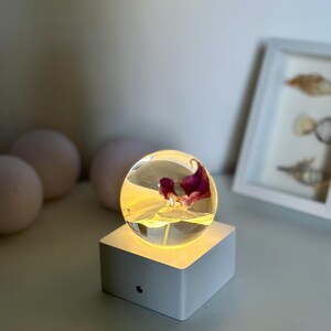 May include: A clear glass sphere with a purple flower inside, resting on a white, illuminated square base. The base has a small, round button on the front. The background includes a white frame with a picture and three round, light-colored objects.