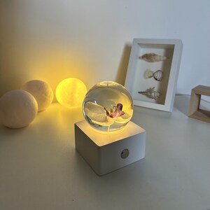 May include: A clear glass orb with a preserved flower inside, illuminated by a warm light. The orb sits on a white square base with a silver button. Decorative spheres and a framed seashell display are in the background.