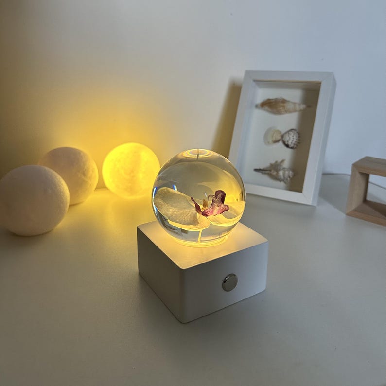 May include: A clear glass orb with a preserved flower inside, illuminated by a warm light. The orb sits on a white square base with a silver button. Decorative spheres and a framed seashell display are in the background.