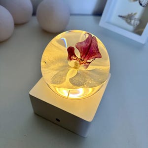 Weiß Schmetterling Orchidee Phalaenopsis Orchidee Nachtlichter Nachttisch Lampe Blume Hochzeitsgeschenk für ihren Jahrestag Geschenk