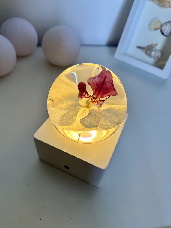 White Butterfly orchid Phalaenopsis orchid Nightlights Nightstand Lamp Flower Wedding Gift for her Anniversary Gift