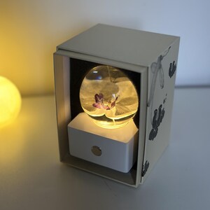 May include: A decorative light featuring a clear glass orb with a purple flower inside, resting on a white base. The orb is illuminated, set within a cream-colored box with floral illustrations. The box is open, revealing the light.