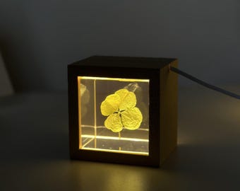Personalized Four Leaf Clover Night Light: Lucky Resin Keepsake
