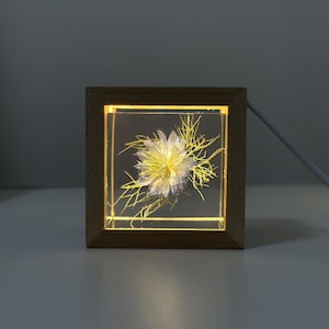 May include: A square wooden-framed night light with a preserved flower encased in clear resin. The flower is white and yellow, and the light glows from within. The night light is plugged into a white cord.