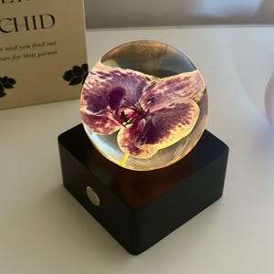 Lila Orchidee Kristallkugel Nachtlicht LED Harz konservierte Blumenlampe Romantisches Schlafzimmer Nachttischdekor Geschenk für sie