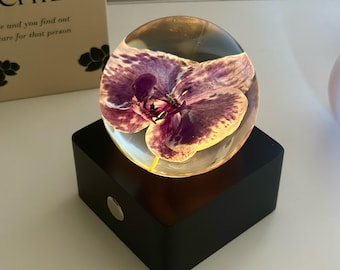 Purple Orchid Crystal Ball Night Light: LED Resin Floral Lamp
