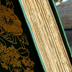 Pode incluir: Close-up de um livro antigo com capa verde escura e design floral dourado. As p&aacute;ginas envelhecidas t&ecirc;m uma apar&ecirc;ncia amarelada. A lombada do livro tamb&eacute;m &eacute; verde, criando uma est&eacute;tica vintage.
