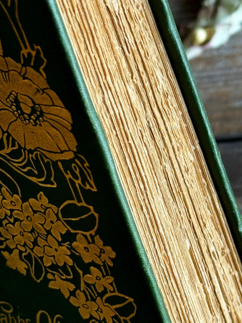 Pode incluir: Close-up de um livro antigo com capa verde escura e design floral dourado. As p&aacute;ginas envelhecidas t&ecirc;m uma apar&ecirc;ncia amarelada. A lombada do livro tamb&eacute;m &eacute; verde, criando uma est&eacute;tica vintage.