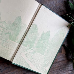 Pode incluir: Livro aberto com ilustra&ccedil;&otilde;es verdes de uma cena de jardim. As ilustra&ccedil;&otilde;es est&atilde;o em uma p&aacute;gina creme com uma borda verde. O livro est&aacute; sobre uma superf&iacute;cie de madeira com um raminho de flores roxas.