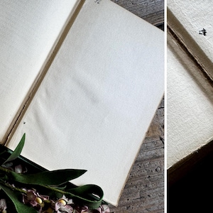Pode incluir: Um livro antigo aberto com p&aacute;ginas envelhecidas em branco sujo. A lombada do livro &eacute; verde escuro, e um arranjo floral com folhas verdes e flores roxas repousa perto do livro. As p&aacute;ginas t&ecirc;m uma apar&ecirc;ncia texturizada.
