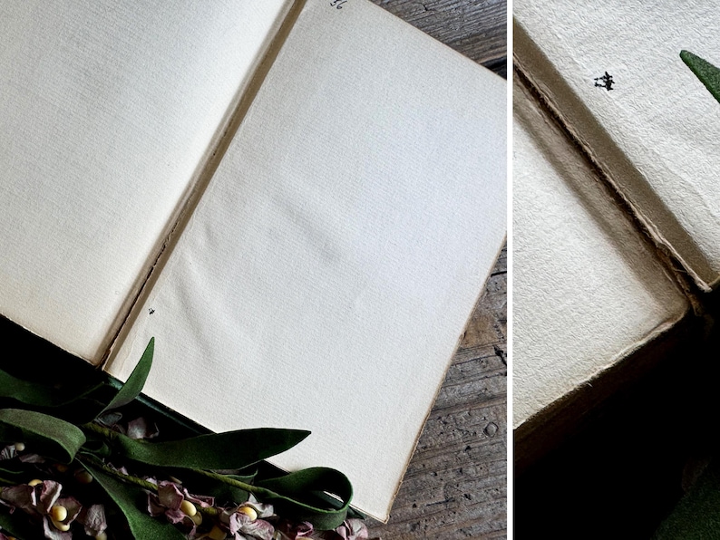 Pode incluir: Um livro antigo aberto com p&aacute;ginas envelhecidas em branco sujo. A lombada do livro &eacute; verde escuro, e um arranjo floral com folhas verdes e flores roxas repousa perto do livro. As p&aacute;ginas t&ecirc;m uma apar&ecirc;ncia texturizada.