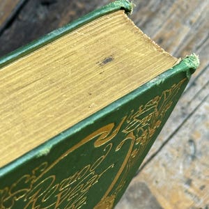 Pode incluir: Close-up de um livro vintage com capa verde e letras douradas em relevo. As p&aacute;ginas t&ecirc;m bordas douradas e o livro mostra sinais de idade. A capa tem um design floral decorativo.