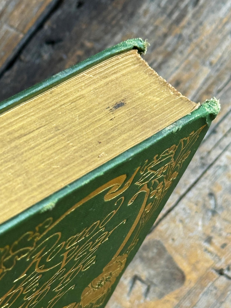 Pode incluir: Close-up de um livro vintage com capa verde e letras douradas em relevo. As p&aacute;ginas t&ecirc;m bordas douradas e o livro mostra sinais de idade. A capa tem um design floral decorativo.