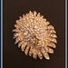 see more listings in the  Brooches and Bracelets section