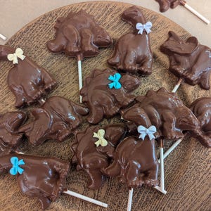 Dinosaurs, Chocolate Suckers