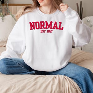 Normal Illinois Sweatshirt, Retro College Crewneck, Vintage University Pullover, Game Day Gift for Students and Fans
