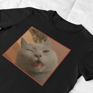 May include: Black t-shirt featuring a close-up image of a gray cat winking and sticking its tongue out. The cat image is set within a square with a red border. Another cat is visible in the background.