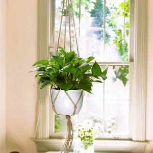 May include: A hanging white ceramic planter with a green leafy plant. The planter is suspended by natural fiber rope, creating a macrame-style plant hanger. The background includes a window with natural light.
