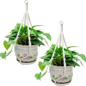 May include: Two hanging planters with green plants. Each planter has a cream-colored macrame hanger and a ceramic pot with a floral design. The plants have vibrant green leaves.