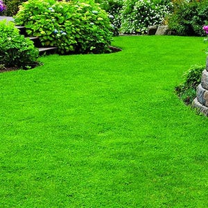 May include: A vibrant green lawn dominates the foreground, leading the eye towards a tiered stone retaining wall. Lush green bushes and colorful flowers add depth to the landscape. A wooden deck and decorative pots are visible in the background, suggesting a well-maintained garden.