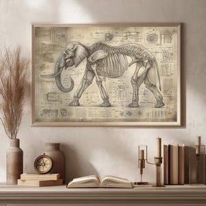 Póster de esqueleto de elefante: ilustración científica de anatomía zoológica vintage, arte mural de biología antigua, historia natural, dibujo anatómico
