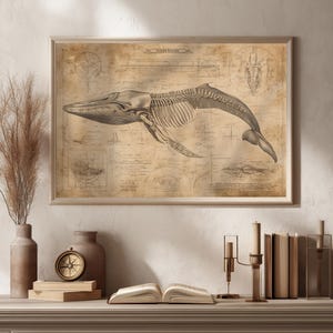 Póster de ballena: ilustración científica vintage de esqueleto de anatomía marina, arte mural zoológico, decoración mural de fósiles, dibujo a lápiz sobre biología