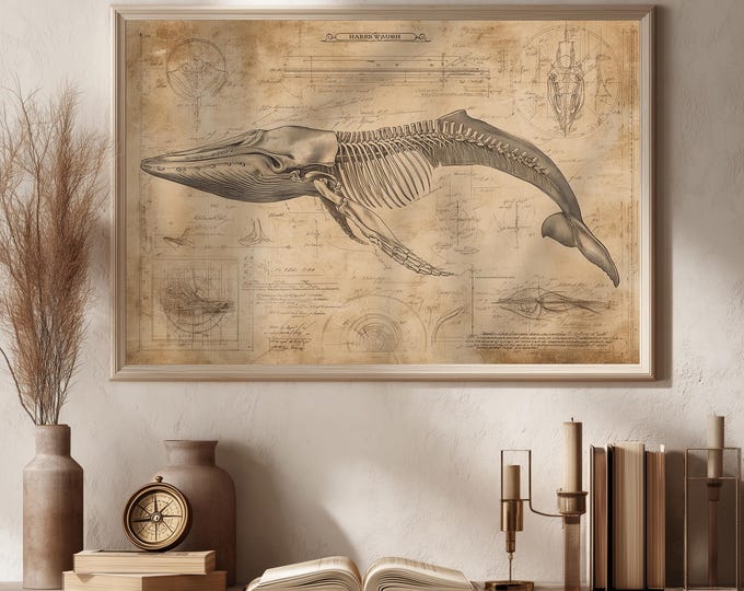 Whale Skeleton Print: Vintage Marine Anatomy Illustration