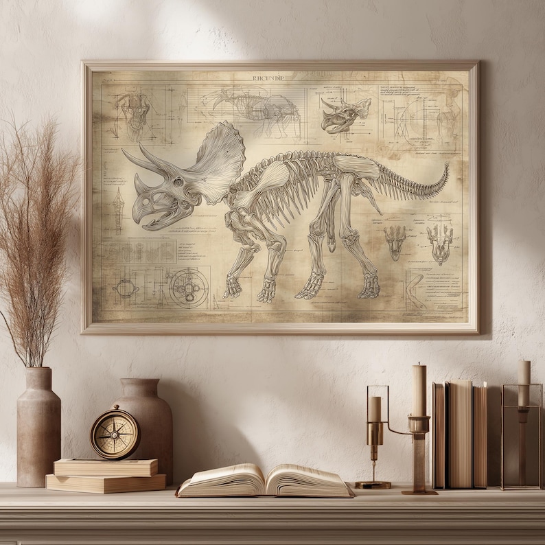 May include: A vintage-style illustration of a Triceratops skeleton on a beige background. The illustration includes detailed anatomical drawings of the dinosaur's bones and skull. The text "Triceratops" is printed at the top of the illustration.