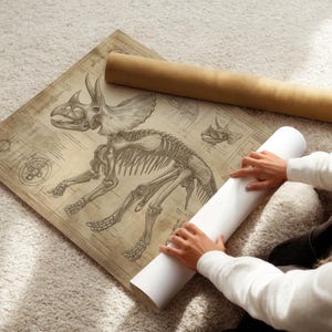 May include: A vintage-style poster featuring a detailed skeletal drawing of a Triceratops dinosaur. The poster is rolled up and being held by a person's hands.
