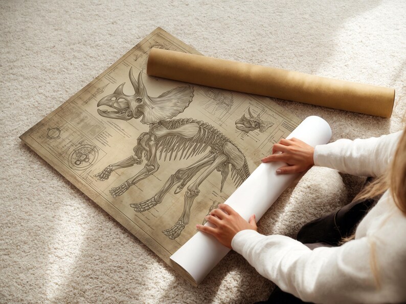 May include: A vintage-style poster featuring a detailed skeletal drawing of a Triceratops dinosaur. The poster is rolled up and being held by a person's hands.