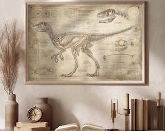 Vintage Velociraptor Anatomy Print: Dinosaur Skeleton Illustration