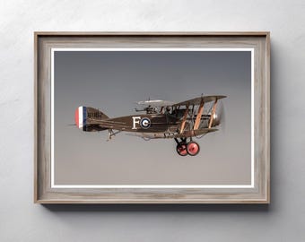 フォッカー D.VII 航空機プリント：第一次世界大戦のドイツ複葉機
