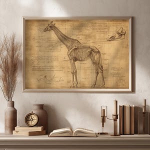 Poster Giraffe - Vintage Tieranatomie-Skelett Wissenschaftliche Illustration, Paläontologie Wandkunst, Fossilien-Wanddekor, Anatomische Zeichnung