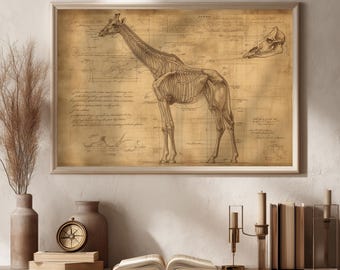 Impresión vintage de esqueleto de jirafa: ilustración anatómica del siglo XIX