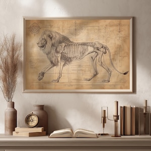 Lion Skeleton Poster – Vintage Zoological Anatomy Scientific Illustration, Natural History Wall Art, Fossil Wall Décor, Anatomical Drawing