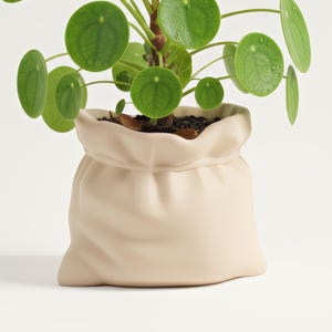 Könnte beinhalten: Eine Pilea peperomioides Pflanze, auch bekannt als chinesische Geldpflanze, in einem beigefarbenen, stoffartigen Topf. Die Pflanze hat runde, grüne Blätter und einen zentralen Stiel. Der Topf hat ein weiches, strukturiertes Aussehen, vor weißem Hintergrund.