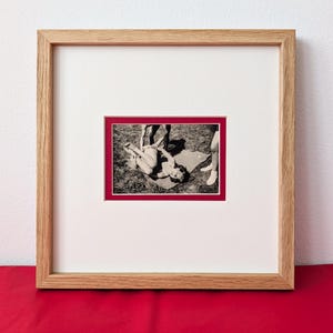 May include: A framed black and white photograph with a red border. The photograph depicts a person lying on a mat outdoors, with other figures partially visible. The frame is made of light-colored wood, set against a red background.