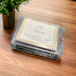 May include: A white soy wax cube with a label that reads "Cube parfumé pour brule parfum" in French. The label also includes the brand name "Ban & Burlés" and instructions for using the cube. The cube is in a clear plastic container.