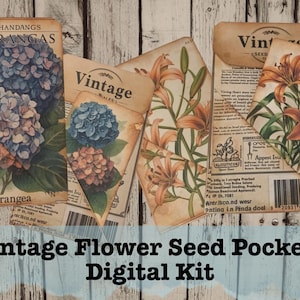 Efímera de paquete de semillas de flores vintage de diario basura