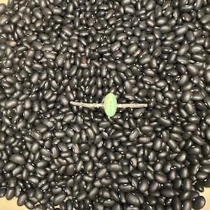 May include: A close-up image of a single green gemstone set in a silver ring. The ring is surrounded by black beans.