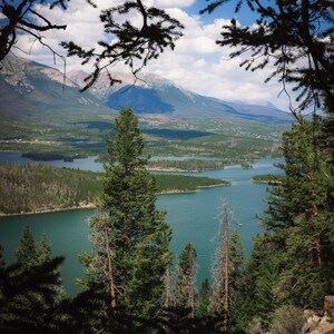 Printable Sapphire Point Trees Photography