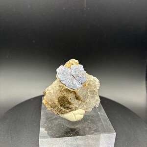 May include: A natural mineral specimen featuring a cluster of light blue, fan-shaped crystals atop a rough, beige matrix. The mineral sits on a clear acrylic display stand, showcasing its unique texture and color variations.
